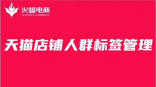 景德鎮(zhèn)天貓代運(yùn)營 景德鎮(zhèn)天貓代運(yùn)營